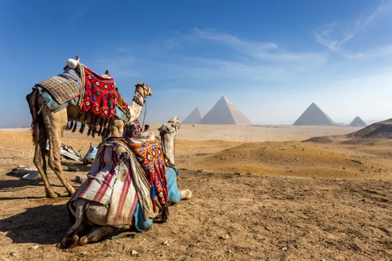 Deserto camelos